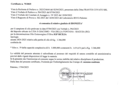 Certified IGP Sicilia organic high polyphenols extra virgin olive oil